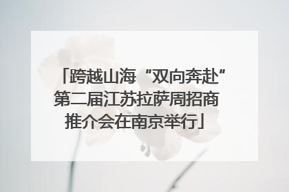 跨越山海“双向奔赴” 第二届江苏拉萨周招商推介会在南京举行